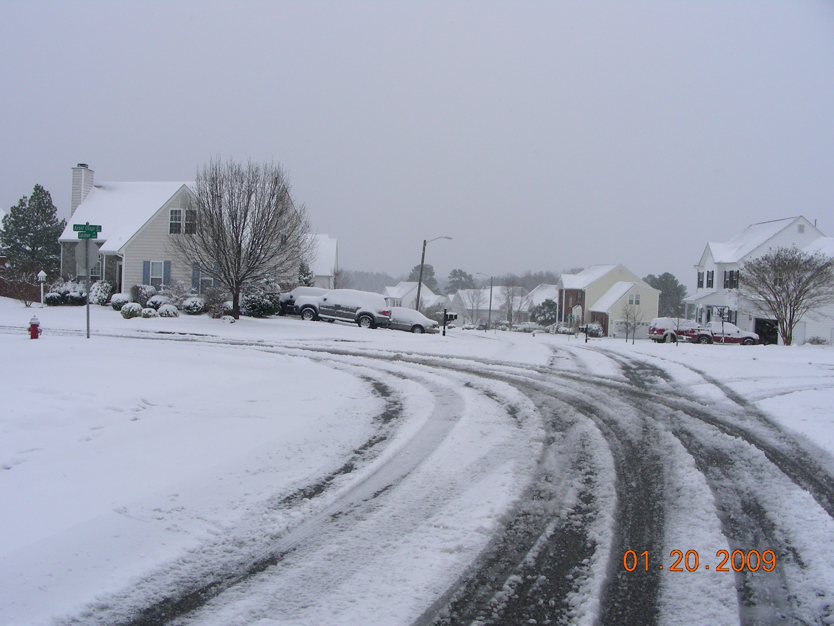./2009/January Snow/DSCN4801.JPG
